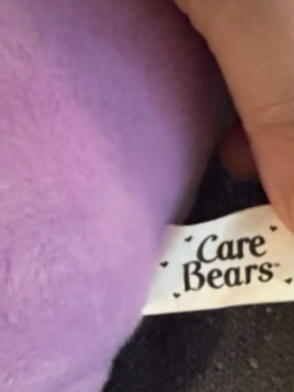 Care Bears Share Bear 14